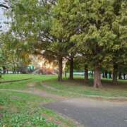 ヒメ日記 2025/11/30 11:29 投稿 りん ニューヨークニューヨーク