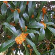 ヒメ日記 2025/12/10 07:06 投稿 りん ニューヨークニューヨーク