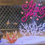 ヒメ日記 2025/12/31 10:14 投稿 りん ニューヨークニューヨーク