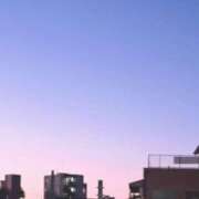 ヒメ日記 2026/01/28 06:22 投稿 りん ニューヨークニューヨーク