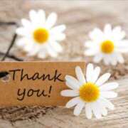 ヒメ日記 2026/02/07 14:03 投稿 りん ニューヨークニューヨーク