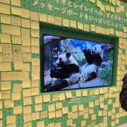 ヒメ日記 2026/02/11 12:06 投稿 りん ニューヨークニューヨーク