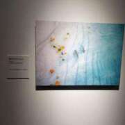 ヒメ日記 2026/02/18 06:38 投稿 りん ニューヨークニューヨーク