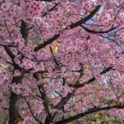 ヒメ日記 2026/03/03 22:48 投稿 りん ニューヨークニューヨーク