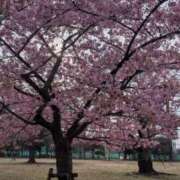 ヒメ日記 2026/03/04 07:30 投稿 りん ニューヨークニューヨーク