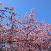 ヒメ日記 2026/03/11 06:31 投稿 りん ニューヨークニューヨーク