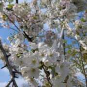 ヒメ日記 2026/03/28 10:33 投稿 りん ニューヨークニューヨーク