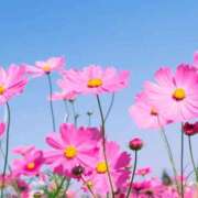 ヒメ日記 2026/03/29 11:13 投稿 りん ニューヨークニューヨーク