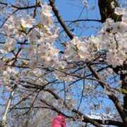 ヒメ日記 2026/04/04 11:47 投稿 りん ニューヨークニューヨーク