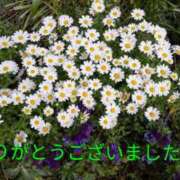 ヒメ日記 2026/04/07 14:31 投稿 りん ニューヨークニューヨーク