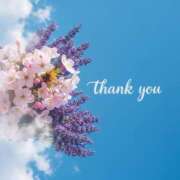 ヒメ日記 2026/04/21 17:53 投稿 りん ニューヨークニューヨーク