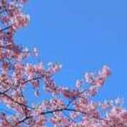 ヒメ日記 2026/04/26 19:49 投稿 りん ニューヨークニューヨーク