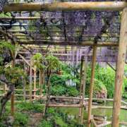 ヒメ日記 2026/04/28 06:39 投稿 りん ニューヨークニューヨーク