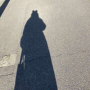 鈴木いのり 30日は セカンドパートナー