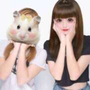 ヒメ日記 2025/10/31 07:10 投稿 松本　かのん YUDEN～油殿～堺東店