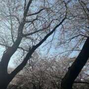 ヒメ日記 2026/03/29 17:55 投稿 きえ 完熟ばなな新宿