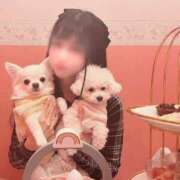 ヒメ日記 2025/12/15 22:22 投稿 レミ the SPA KADOEBI