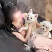 ヒメ日記 2025/12/22 15:02 投稿 レミ the SPA KADOEBI