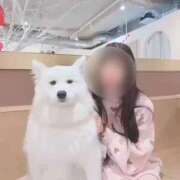 ヒメ日記 2026/01/04 15:12 投稿 レミ the SPA KADOEBI