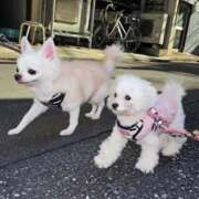 ヒメ日記 2026/01/22 21:17 投稿 レミ the SPA KADOEBI