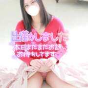 ヒメ日記 2026/04/29 12:00 投稿 恋華-れんか【FG系列】 ほんとうの人妻　柏店