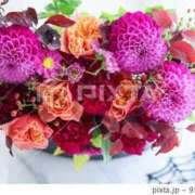 ヒメ日記 2025/11/04 15:34 投稿 ゆうか 多恋人倶楽部　宇部店