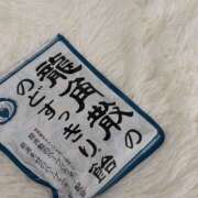 ヒメ日記 2025/11/03 11:52 投稿 千草/ちぐさ 五反田アネージュ（ユメオト）