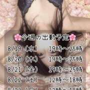 ヒメ日記 2026/08/17 08:09 投稿 恋華-れんか【FG系列】 ほんつま松戸店（FG系列）