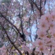 ヒメ日記 2026/03/23 16:00 投稿 萌音-もね 熟女10000円デリヘル横浜