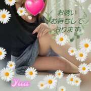ヒメ日記 2026/06/06 12:38 投稿 高桑ゆあ(たかくわゆあ) 五十路マダムエクスプレス厚木店(カサブランカグループ)