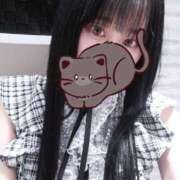 ヒメ日記 2025/11/01 21:12 投稿 むぎ 桃李（とうり）