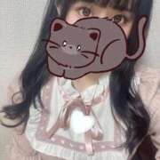 ヒメ日記 2025/11/05 12:04 投稿 むぎ 桃李（とうり）