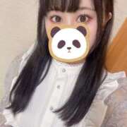 ヒメ日記 2025/11/05 17:04 投稿 むぎ 桃李（とうり）