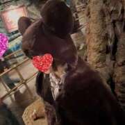 ヒメ日記 2025/11/26 10:24 投稿 むぎ 桃李（とうり）