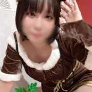 ヒメ日記 2025/11/14 15:02 投稿 あやめ アリスカフェ