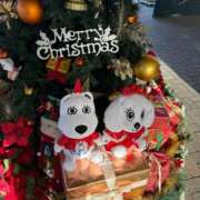 ヒメ日記 2025/12/03 14:45 投稿 あやめ アリスカフェ