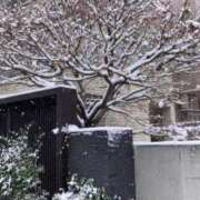 ヒメ日記 2026/02/08 12:01 投稿 あやめ アリスカフェ