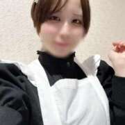 ヒメ日記 2026/04/11 21:40 投稿 あやめ アリスカフェ