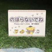 ヒメ日記 2026/09/12 01:24 投稿 あやめ アリスカフェ