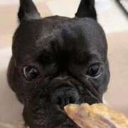 ヒメ日記 2025/11/01 08:18 投稿 ししゃも ワンダフル