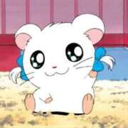 ヒメ日記 2025/11/06 10:58 投稿 ししゃも ワンダフル