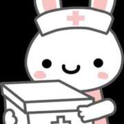 ヒメ日記 2025/11/14 10:19 投稿 ししゃも ワンダフル