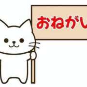 ヒメ日記 2025/11/20 17:48 投稿 ししゃも ワンダフル