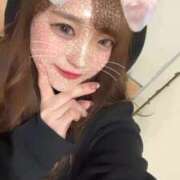 ヒメ日記 2025/11/29 12:28 投稿 ししゃも ワンダフル