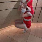 ヒメ日記 2025/12/25 13:18 投稿 ししゃも ワンダフル