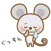 ヒメ日記 2025/12/28 10:38 投稿 ししゃも ワンダフル