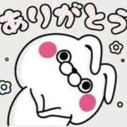 ヒメ日記 2025/12/31 16:09 投稿 ししゃも ワンダフル