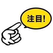 ヒメ日記 2026/01/31 13:04 投稿 ししゃも ワンダフル