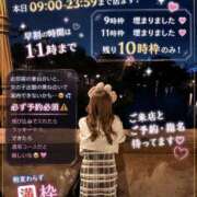 ヒメ日記 2026/07/09 09:18 投稿 ししゃも ワンダフル