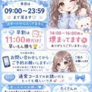ヒメ日記 2026/07/10 09:18 投稿 ししゃも ワンダフル
